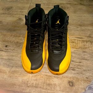 University gold Jordan 12